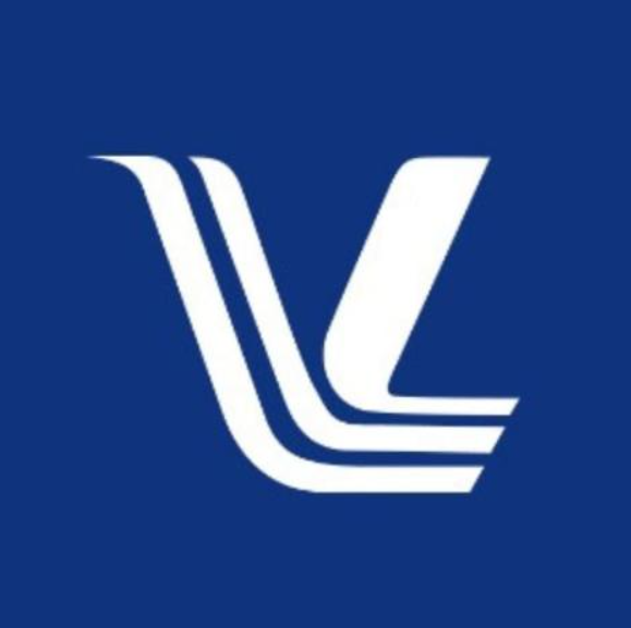 Vizolane Innovations Logo